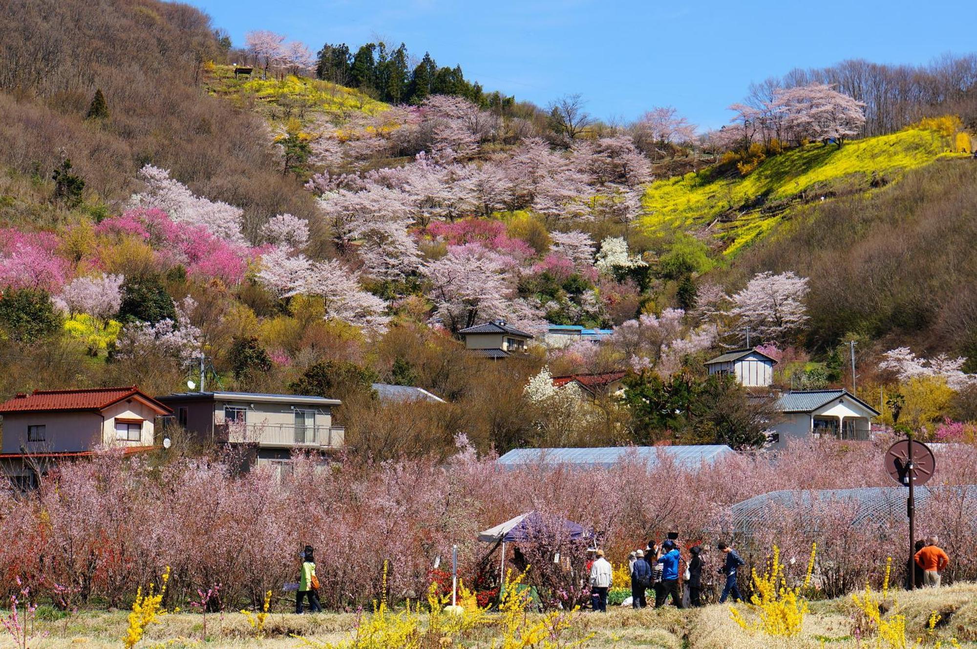 La Union Fukushima (Fukushima) Exterior foto